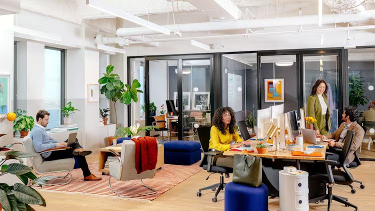 WeWork Hub71